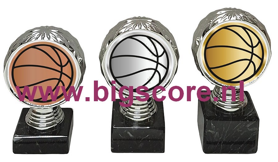 Basketbal standaard P514.02 kunststof op marmer